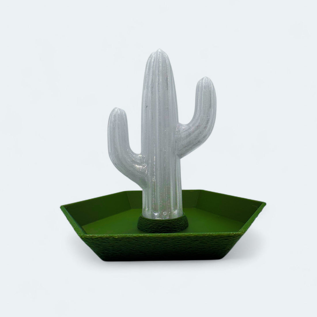 Cactus Jewelry Tray